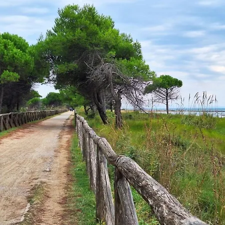 With Garden Near The Sea *